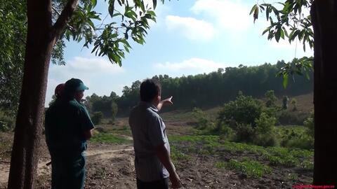 Báo cáo sơ bộ Phương án giao rừng (Clip)