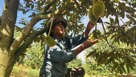 Quan tâm đầu tư chăm lo vùng đồng bào DTTS 📷
