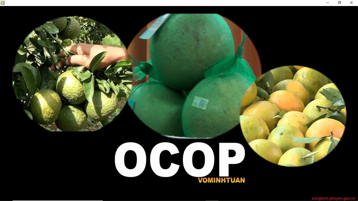 Sản phẩm OCOP Sông Hinh